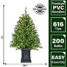 Fraser Hill Farm 4 ft. Boxwood Porch Tree Set with Warm White Lights