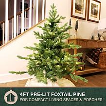 Fraser Hill Farm 4-Ft. Foxtail Pine Pre-Lit Artificial Christmas Tr...