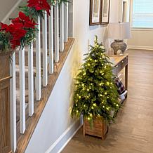 Fraser Hill Farm 4-Ft. Real Feel Cedar Pre-Lit Potted Porch Tree wi...