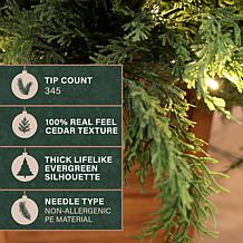 Fraser Hill Farm 4-Ft. Real Feel Cedar Pre-Lit Potted Porch Tree wi...