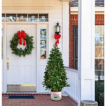 Fraser Hill Farm 4.5Ft. Porch Tree in Reindeer Pot w/ White LED Lights
