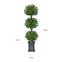 Fraser Hill Farm All Season 4-Ft. Boxwood 3-Ball Topiary with Black...
