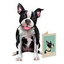 Freshcut Paper Set of 3 Pop-Up Pet Greeting Cards w/Accessories