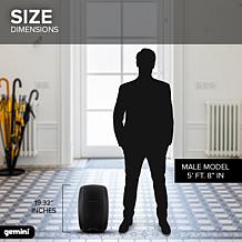 Gemini AS-2110BT Active 10 inch Woofer Bluetooth Loudspeaker