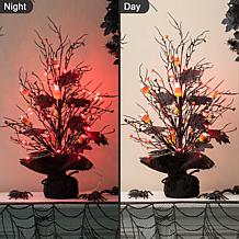 Glitzhome 21in. H Lighted Halloween Candy Corn Berries Table Tree