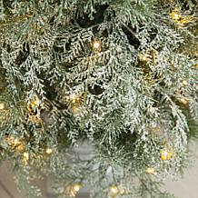 Glitzhome 2pk 5 Ft. Pre-Lit Artificial Pine Christmas Porch Tree