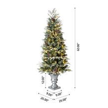 Glitzhome 2pk 5 Ft. Pre-Lit Artificial Pine Christmas Porch Tree
