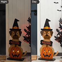 Glitzhome 30"H Halloween Wooden Lighted Witch Dog Porch Decor w/Timer