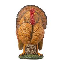 Glitzhome 9.5in. H Thanksgiving Resin Turkey Table Decor