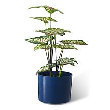 Glitzhome Set of 2 Cobalt Blue Faux Ceramic Urn Plastic Planters