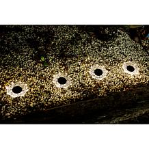 GreanBase Solar Fibre Effect Flower Garden Stakes - Set of 4