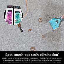 Hair Pro Pet Carpet Cleaner with Stain Striker