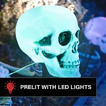 Haunted Hill Farm 1-Ft. Skull Stakes with Lights, Set of 6