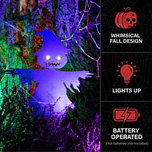 Haunted Hill Farm 3-Ft. Black Metal Scarecrow Decoration with LED E...