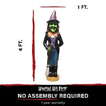 Haunted Hill Farm 4' Scary Witch w/Broom Pre-lit LED Resin Figure  