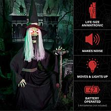 Haunted Hill Farm 4.3-Ft. Animated Sitting Witch Animatronic
