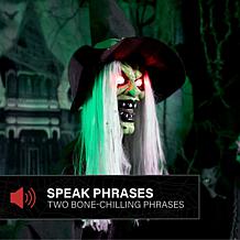 Haunted Hill Farm 4.3-Ft. Animated Sitting Witch Animatronic