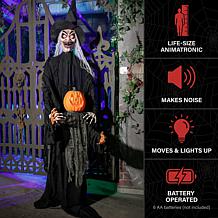 Haunted Hill Farm 6.1-Ft. Standing Animated Witch with Pumpkin Man ...
