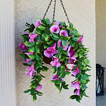 Improvements 11" Petunia Hanging Baskets - 2-pack