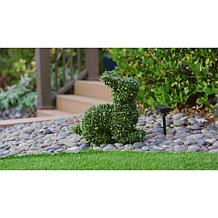 Improvements 15" LED Boxwood Bunny