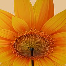 Improvements 9' Double-Layer Printed Patio Umbrella with Base