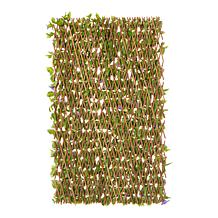 Improvements Petunia Expandable Fence