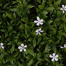 Improvements Set of 2 13" Floral Spheres