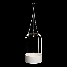 Improvements Solar Plant Lantern