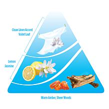 INSTAClean 112 oz. All Purpose Cleaner & Stain Remover