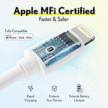 iPhone Charger Set: Wall Charger + 6 Ft Lightning Cable - Silver