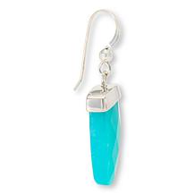 Jay King Amazonite Sterling Silver Triangular Drop Earrings
