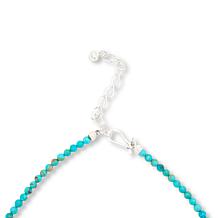 Jay King Compressed Kingman Turquoise Pendant with Bead Necklace