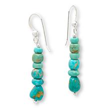 Jay King Sonoran Blue Turquoise Necklace & Earring Set