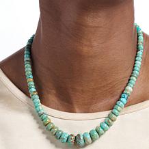 Jay King Spruce Mountain Turquoise Bead 18" Necklace