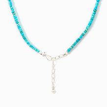 Jay King Sterling Silver Angel Peak Turquoise Necklace