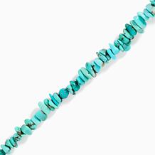 Jay King Sterling Silver Baja Turquoise Necklace