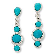 Jay King Sterling Silver Kingman Turquoise Drop Earrings