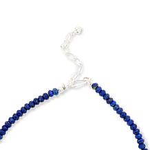 Jay King Sterling Silver Lapis and Turquoise Pendant with Necklace