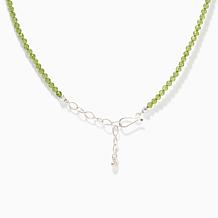 Jay King Sterling Silver Peridot & Variscite Beaded Necklace