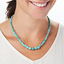 Jay King Sterling Silver Peruvian Turquoise Bead 18" Necklace