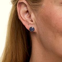 Jay King Sterling Silver Tanzanite Stud Earrings