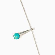 Jay King Sterling Silver Tyrone Turquoise Pendant with Chain Necklace