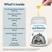 Joint Benefits for Dogs - 500 servings