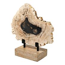KALIFANO Petrified Wood Slice with Display Stand