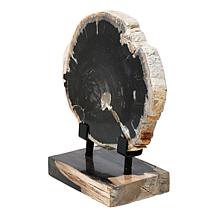 KALIFANO Petrified Wood Slice with Display Stand