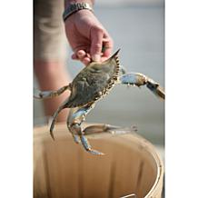 Kent Island Crab 8-count 4 oz. Jumbo Lump Crab Cakes Auto-Ship®