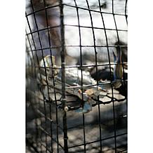 Kent Island Crab 8-count 4 oz. Jumbo Lump Crab Cakes