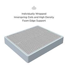 Kingsdown Prime Ashwin 15.5" Plush King Euro Pillow Top Mattress