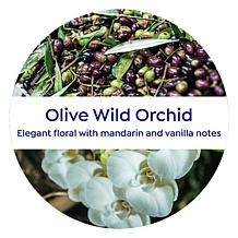 Korres 2-pack Olive & Wild Orchid Jumbo Size Body Cream Auto-Ship®