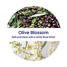 Korres Olive 3-in-1 Nourishing Oil and Olive Blossom Hand Cream Set